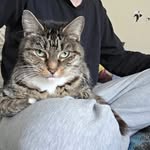 Jared Crowe - @jaredcrowe97 - Instagram