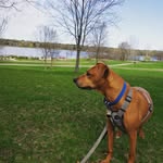 Jared Crowe - @callmecrowe - Instagram