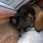 Jared crowe - @jaredcrowe7 - Instagram