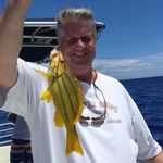 Jared dalton - @jardalton - Instagram