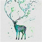 Jared Dalton - @jareddalton53 - Instagram