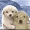 Jared y david - @jared.y.david - TikTok