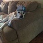 Momtriplet - @jareddenney2 - Instagram