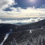 Jared Dion - @jaredrocksmtl - Instagram