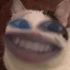 random - @jared.dion1 - TikTok