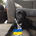 Jared Dobson - Facebook