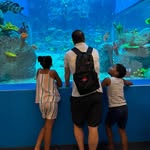 Jared Dodson - @jdodson_partyof4 - Instagram