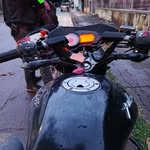 Jared Duarte - @jared.duarte.9809 - Instagram