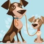 Jared Duarte - @jaredspets - Instagram