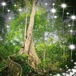 Jared Duke - @sychotic76 - Instagram