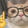 JaredDuke - @carisegu19v - TikTok