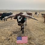 Jared Engle - @engle_jared - Instagram