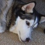 Jared Fair - @jfair2003 - Instagram