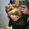 Jared Fairweather - @jared.fairweather - TikTok