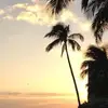 jaredfairbanks491 - @jaredfairbanks491 - TikTok