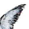 jared_faust - @jared_faust - TikTok
