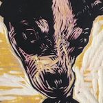 Jared Faust - @jaredfaustpolarprints - Instagram