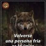 Jared Figueroa - @jared_figueroa - Instagram