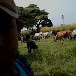 Jared Figueroa(chaneke) - @jared_figueroa_16 - Instagram
