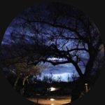 Jared Flanders - @flandersjared778 - Instagram