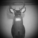 Jared frame - @framejared - Instagram