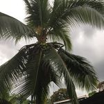 Jared - @_jaredfrederick - Instagram
