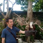 Jared Freeland - @jaredrfreeland - Instagram