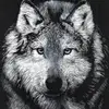 Jared - @jared._freeland - TikTok