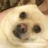 Jared Frost - @jaredfrost1 - TikTok