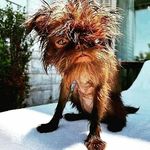 Jared Gallagher - @jjiscool63 - Instagram