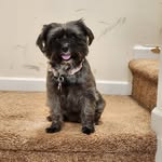 Jared Gallagher - @gallagator1277 - Instagram
