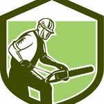Jared Gallagher - @theridgefieldtreeservice - Instagram