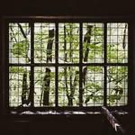 Jared Gallagher - @jaredgallagher1729 - Instagram