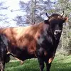 jaredgallagher905 - @jaredgallagher905 - TikTok