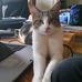 Jared Garfield - Facebook