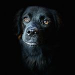Jared Garfield - @jgarf7 - Instagram