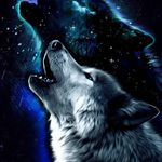 Jared Garnett - @ja.red1452 - Instagram