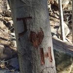 Jared Gary - @crazygrays411 - Instagram