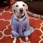 Jared Gaskin - @gaskin.jared - Instagram