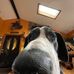 Jared Grim - Facebook