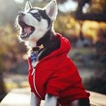 Jared Haley - @jaredandersonhaley - Instagram
