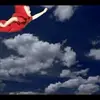 jaredhanna7 - @jaredhanna7 - TikTok