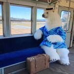 Jared Hardin - @sgt_bubbles_mcgee - Instagram