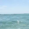 jaredhelma - @jaredhelma - TikTok