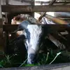 jaredhelmi - @jaredhelmi - TikTok
