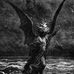 Jared Hendrix - Facebook