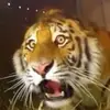 jaredhightower3 - @jaredhightower3 - TikTok