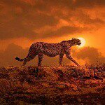 Jared_Hooper - @jared_hooper_ - Instagram