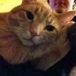 Jared Hooper - @bigpapapancake - Instagram
