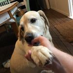 Jared Hooper - @poonmanj - Instagram